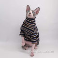 Rayures vintage sphynx t-shirts de chat sans poils